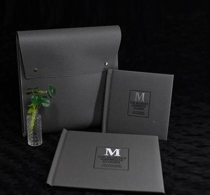 OEM en ODM Luxury wedding photo album with storage leather bag te koop